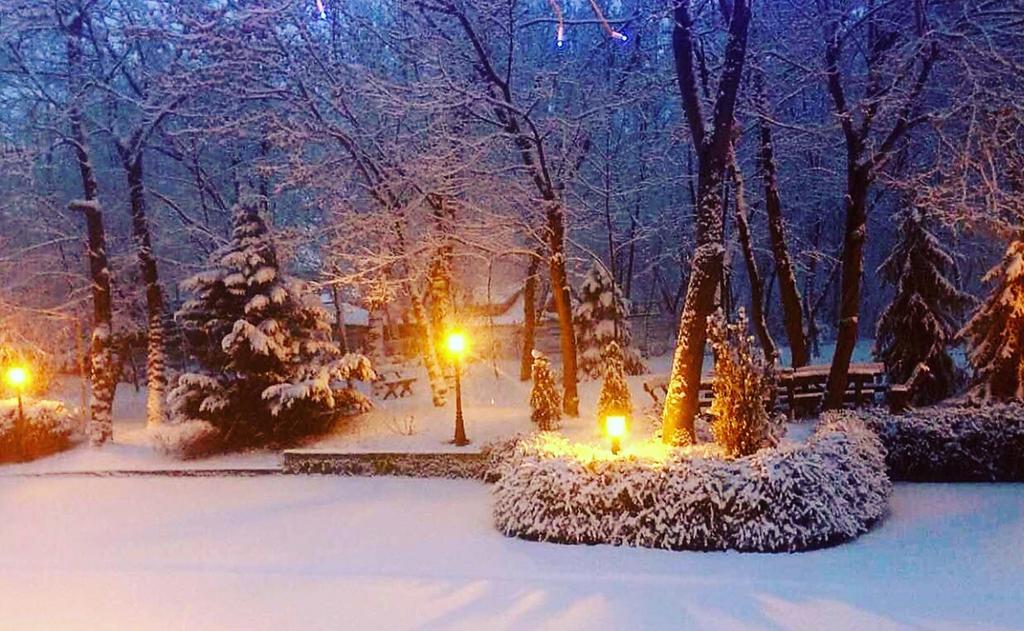 Villa Forest Belgrád Kültér fotó